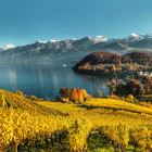 0012_Spiez_Schoene Aussichten TouristikST_Spiez-autumn-panorama_31427